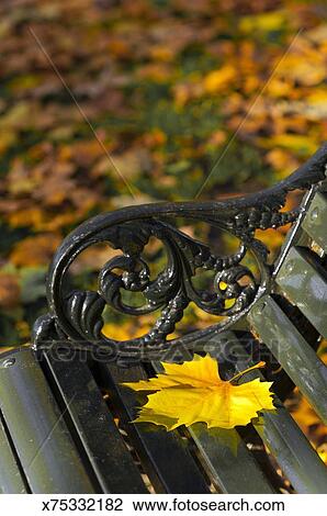 London Hyde Park Autumn Leaf On Park Bench Stock Image