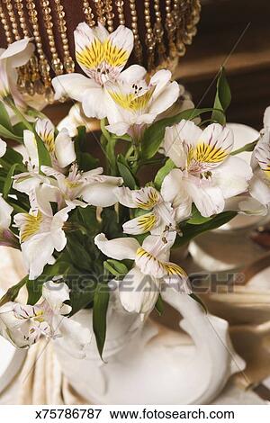 Centerpiece Of Orchids In Vase Stock Photo X75786787 Fotosearch