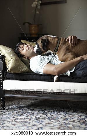 Young Man And Dog Lying On Sofa Dog Licking Man S Face Stock