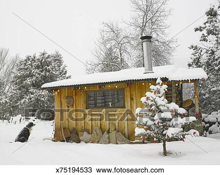 Dog Sitting Outside Log Cabin Decorated In Lights Snow Dog Sitting Outside Log Cabin Decorated In Lights Snow Side View