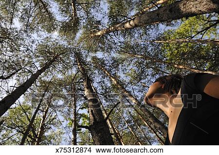 Woman In Woods Looking Up The Trees And Sky Picture X75312874