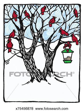 Cardinals Bird Feeder Stock Illustration X75456878 Fotosearch