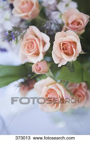 Bouquet of prink roses View Large Photo Image Stock Image - Bouquet of prink roses. Fotosearch