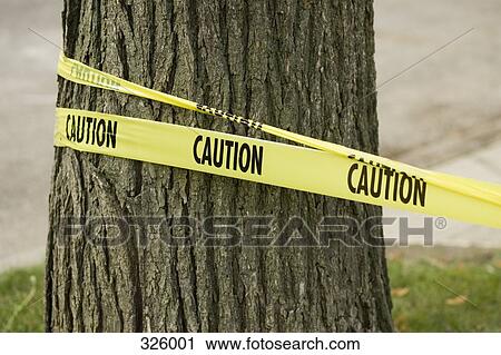 ‘Caution’ tape wrapped around tree View Large Photo Image Stock Image - ‘Caution’ tape wrapped around tree. Fotosearch