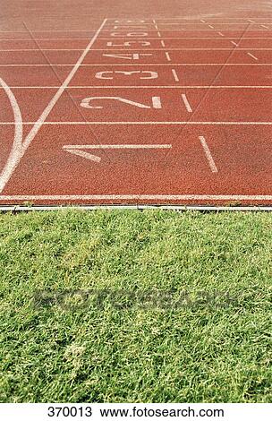 Lane markings on a running track View Large Photo Image Stock Image - Lane markings on a running track. Fotosearch