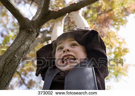 Young boy hanging from tree branch View Large Photo Image Stock Image - Young boy hanging from tree branch. Fotosearch