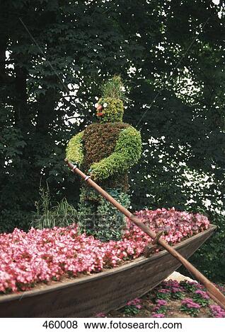 Flower man rowing a boat in an ornamental garden View Large Photo Image Stock Photo - Flower man rowing a boat in an ornamental garden. Fotosearch