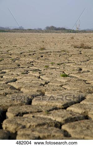 A barren landscape View Large Photo Image Picture - A barren landscape. Fotosearch