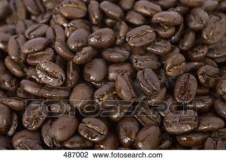 Coffee beans View Large Photo Image Stock Image - Coffee beans. Fotosearch