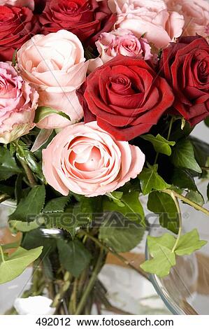 A bouquet of red and pink roses in a vase on a table View Large Photo Image Stock Image - A bouquet of red and pink roses in a vase on a table. Fotosearch