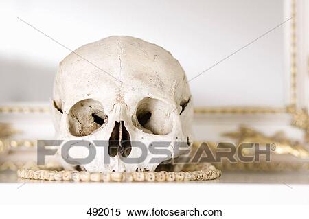 A human skull on a mantelpiece View Large Photo Image Stock Photography - A human skull on a mantelpiece. Fotosearch