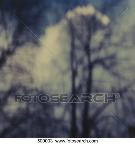 Clouds over bare trees View Large Photo Image Stock Image - Clouds over bare trees. Fotosearch