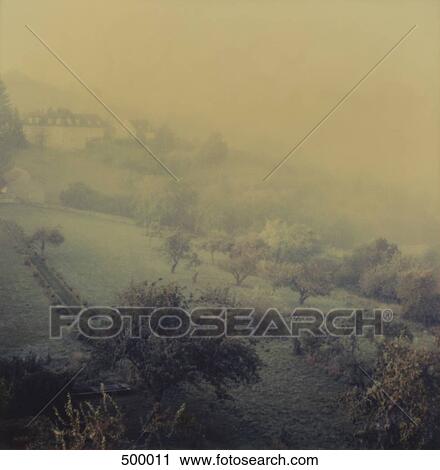 Stock Image - Fog over a rural landscape. Fotosearch
