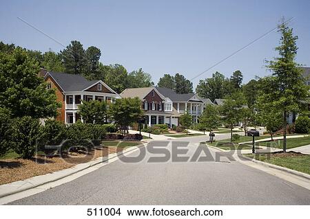 A residential street View Large Photo Image Picture - A residential street. Fotosearch
