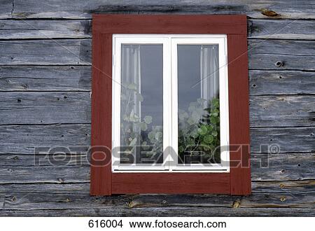 A window with plants growing inside View Large Photo Image Picture - A window with plants growing inside. Fotosearch