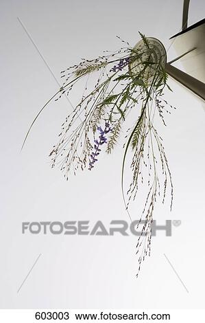 Stock Image - Flowers protruding from the spout of a watering can. Fotosearch