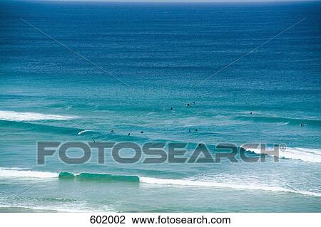 People swimming in the ocean View Large Photo Image Stock Image - People swimming in the ocean. Fotosearch