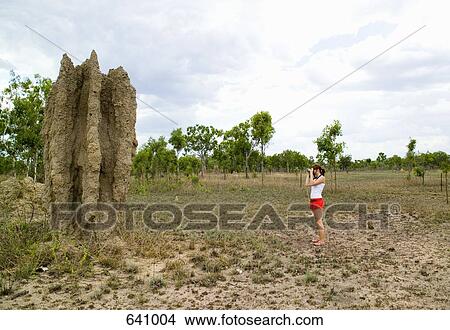 A woman taking a photograph of a termite mound View Large Photo Image Picture - A woman taking a photograph of a termite mound. Fotosearch