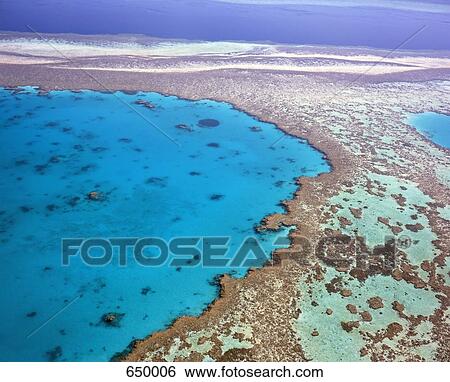 Aerial view of the Great Barrier Reef View Large Photo Image Stock Photograph - Aerial view of the Great Barrier Reef. Fotosearch