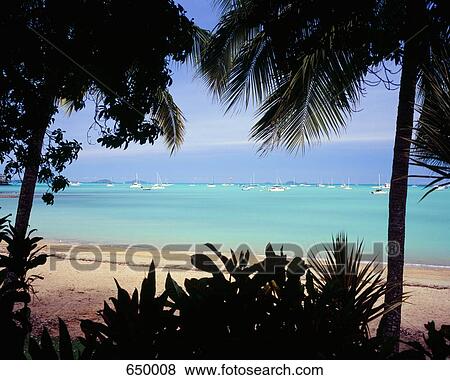 Airlie Beach View Large Photo Image Stock Photo - Airlie Beach. Fotosearch