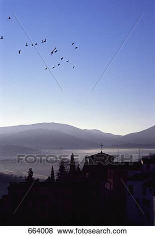 Flock of birds flying across a view of mountains and rooftops, Ronda, Spain View Large Photo Image Stock Photo - Flock of birds flying across a view of mountains and rooftops, Ronda, Spain. Fotosearch
