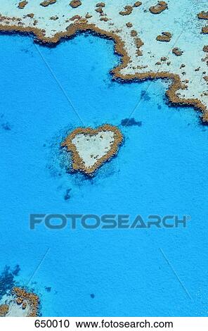 Heart Reef, Great Barrier Reef View Large Photo Image Stock Image - Heart Reef, Great Barrier Reef. Fotosearch