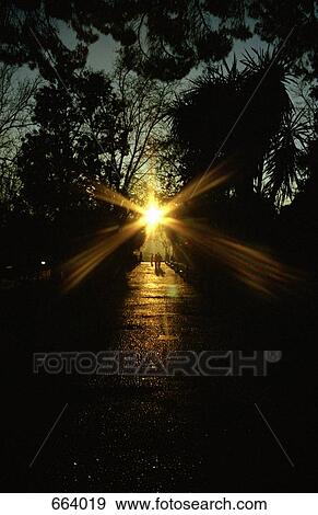 Stock Photo - Sunbeams through the trees in a park. Fotosearch