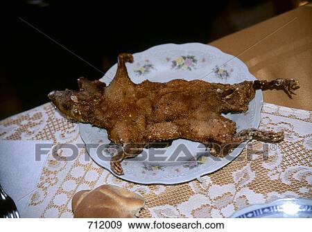 A fried rodent served on a plate View Large Photo Image Stock Photo - A fried rodent served on a plate. Fotosearch