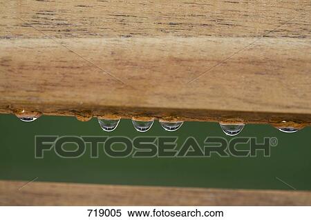 Drops of water hanging from wood View Large Photo Image Stock Photography - Drops of water hanging from wood. Fotosearch