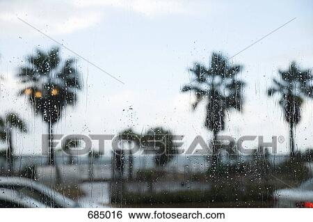 Palm trees seen through rain covered window View Large Photo Image Stock Photograph - Palm trees seen through rain covered window. Fotosearch