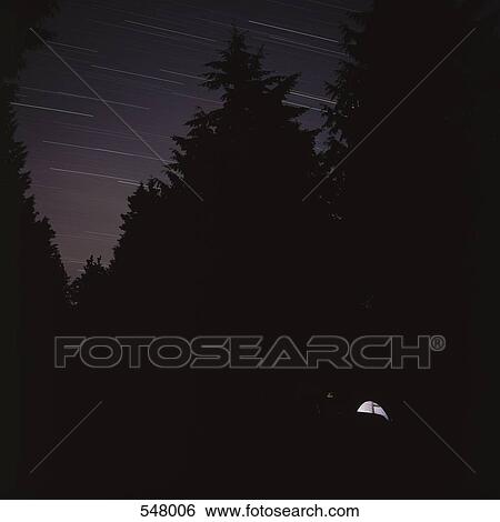 Silhouettes of trees against a starry night sky View Large Photo Image Stock Photograph - Silhouettes of trees against a starry night sky. Fotosearch