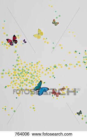 A child's bedroom wall decorated with paint spots and butterflies View Large Photo Image Stock Photograph - A child's bedroom wall decorated with paint spots and butterflies. Fotosearch