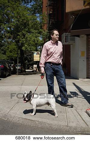 A French Bulldog on a leash and its owner, outdoors View Large Photo Image Stock Photo - A French Bulldog on a leash and its owner, outdoors. Fotosearch