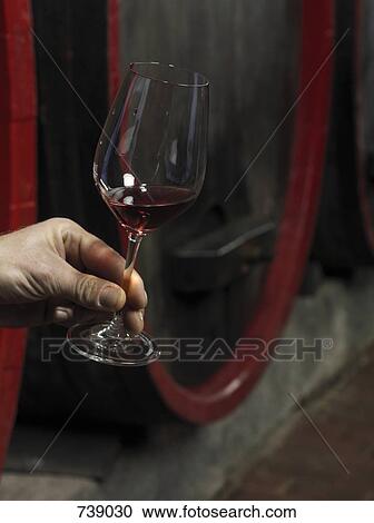 A human hand holding a glass of red wine View Large Photo Image Stock Image - A human hand holding a glass of red wine. Fotosearch