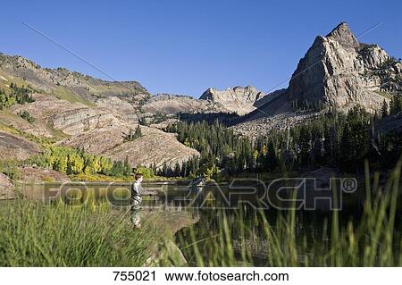 A man fly fishing in a lake View Large Photo Image Stock Image - A man fly fishing in a lake. Fotosearch