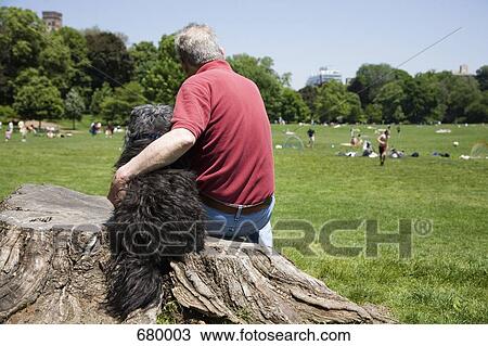 A man with his arm around his dog, rear view, Prospect Park, Brooklyn, New York, USA View Large Photo Image Stock Image - A man with his arm around his dog, rear view, Prospect Park, Brooklyn, New York, USA. Fotosearch