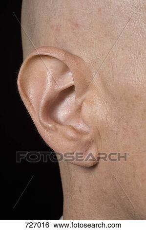 Stock Photograph - A man's ear. Fotosearch