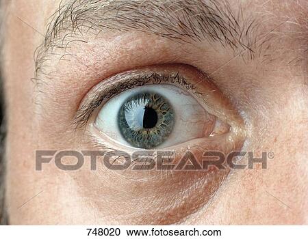 Close-up of a man's eye View Large Photo Image Stock Image - Close-up of a man's eye. Fotosearch