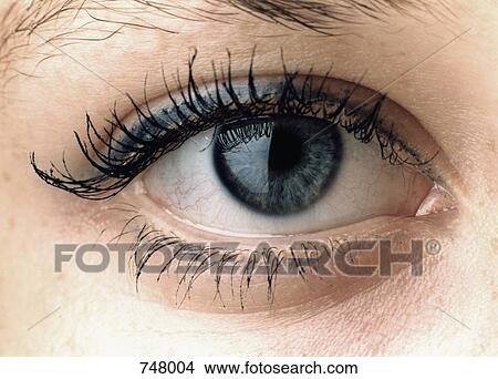 Picture - Close-up of a woman's eye. Fotosearch