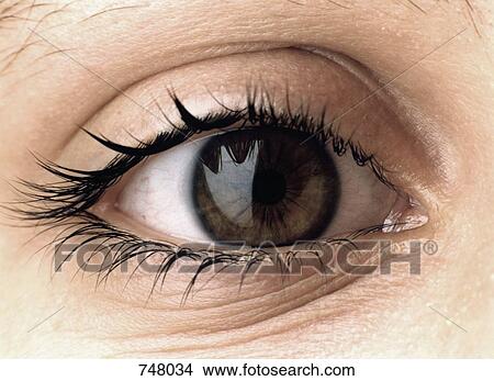 Close-up of a woman's eye View Large Photo Image Picture - Close-up of a woman's eye. Fotosearch