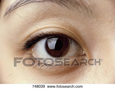 Close-up of a woman's eye View Large Photo Image Stock Photo - Close-up of a woman's eye. Fotosearch