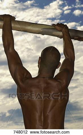 Stock Image - Rear view of a man holding onto a tree branch. Fotosearch