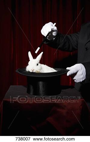 The gloved hands of a magician performing a magic trick with a rabbit in a top hat View Large Photo Image Stock Photo - The gloved hands of a magician performing a magic trick with a rabbit in a top hat. Fotosearch
