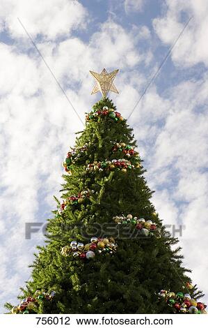 A large decorated Christmas tree, outdoors View Large Photo Image Stock Image - A large decorated Christmas tree, outdoors. Fotosearch