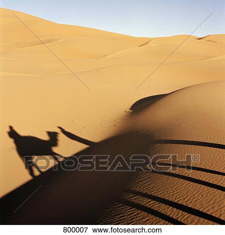 Shadow of two people and a camel against a desert landscape View Large Photo Image Stock Photo - Shadow of two people and a camel against a desert landscape. Fotosearch