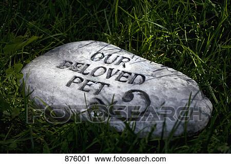 Stock Image - A gravestone in a pet cemetery. Fotosearch
