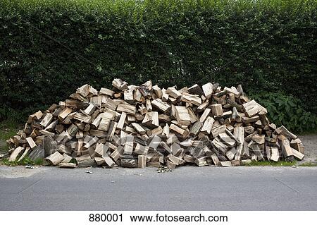 A large pile of firewood, outdoors View Large Photo Image Stock Image - A large pile of firewood, outdoors. Fotosearch