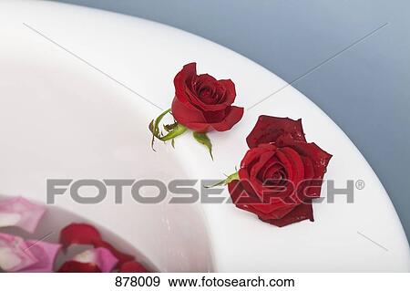 Two roses on the edge of a bathtub View Large Photo Image Stock Photo - Two roses on the edge of a bathtub. Fotosearch