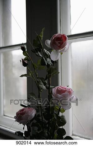 A bouquet of roses next to a window View Large Photo Image Picture - A bouquet of roses next to a window. Fotosearch