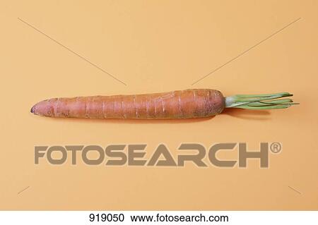 A carrot View Large Photo Image Stock Image - A carrot. Fotosearch